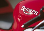 Triumph Daytona 955i